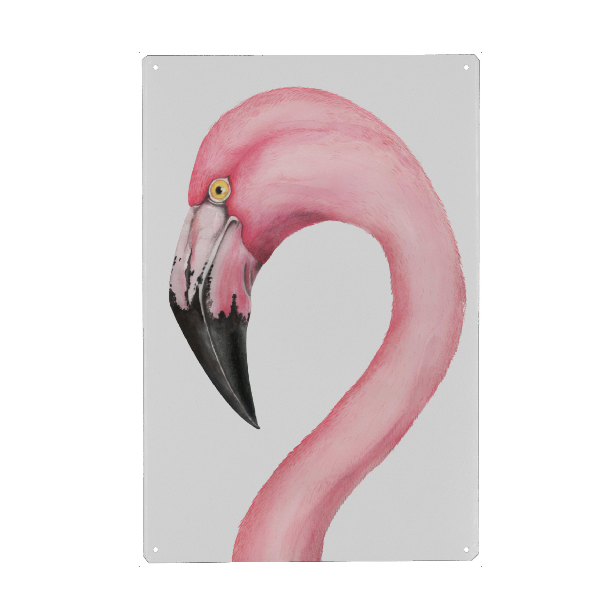 Metall Poster "Flamingo 5" artboxONE - Tiere,Festivals - Flamingo,Vogel,Bird,Wasser,Water,Lagune,Lagoon - Blechschild