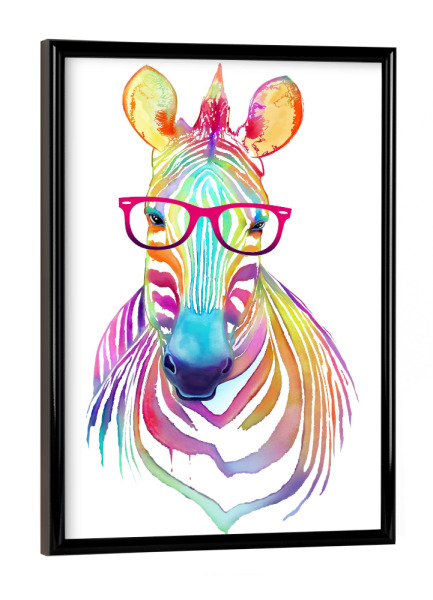 Poster mit schwarzem Rahmen "Colorful zebra" artboxONE - Natur,Tiere,Schwarzweiß