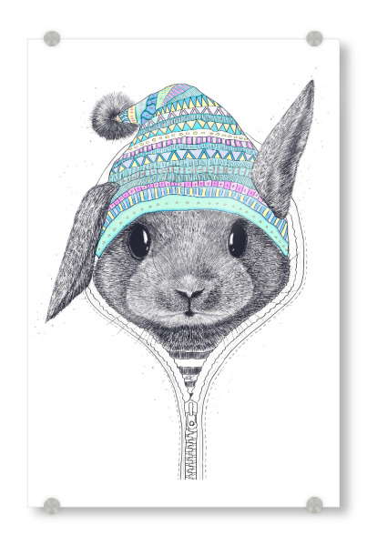 Acrylglasbild "Rabbit in a hood" artboxONE - Natur,Tiere,Schwarzweiß,Liebe,Weihnachten