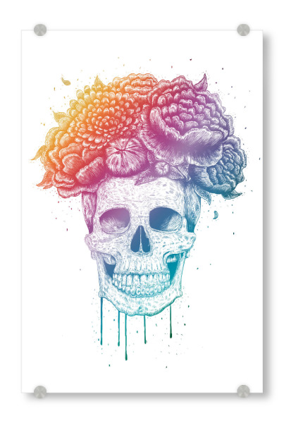 Acrylglasbild "Colorful skull" artboxONE - Natur,Floral,Menschen,Schwarzweiß