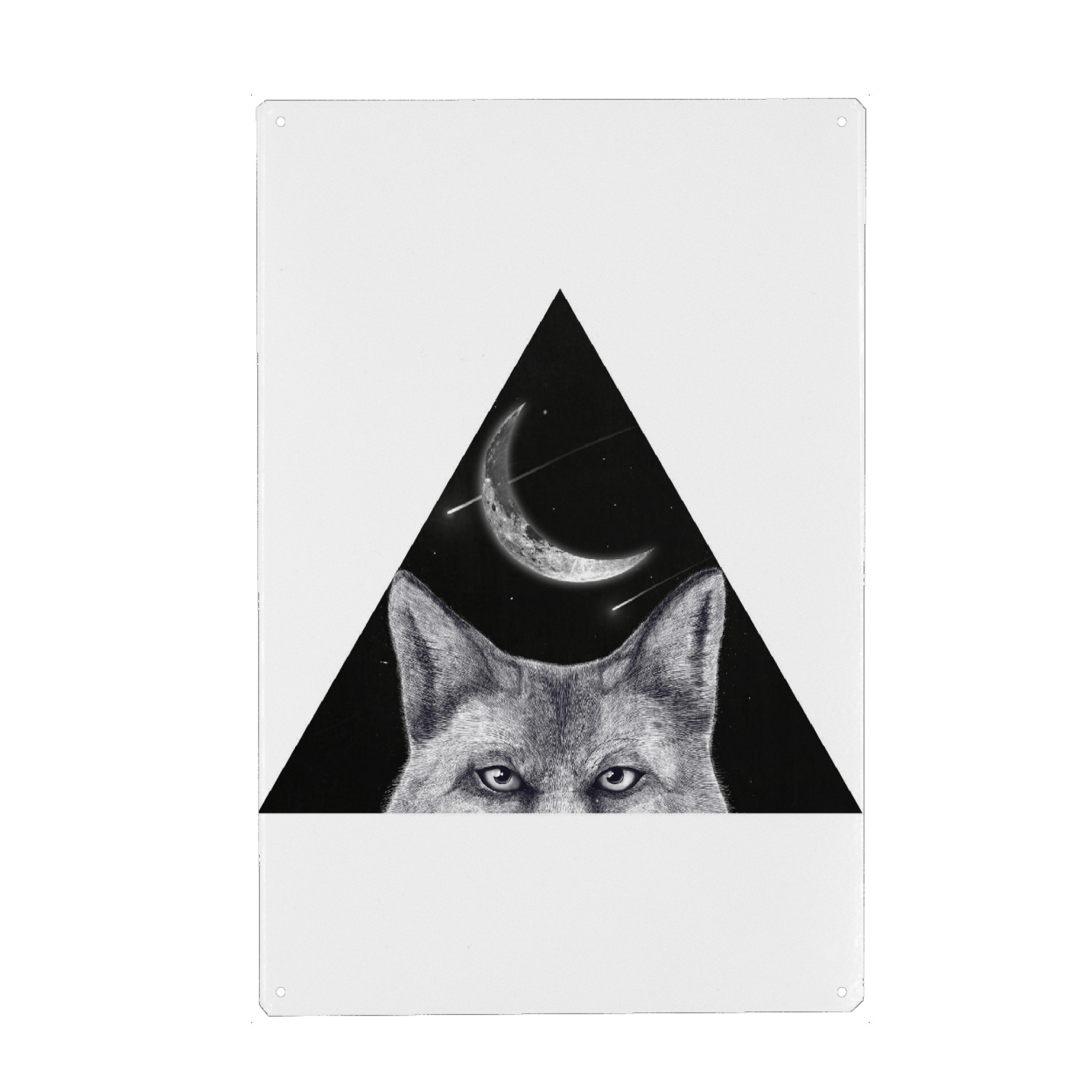 Holzbild "Fox of the night" artboxONE - Natur,Tiere,Schwarzweiß,Galaxy