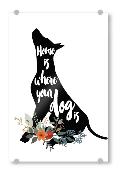 Acrylglasbild "Zuhause ist wo dein Hund ist 3" artboxONE - Typografie,Für Kinder,Tiere