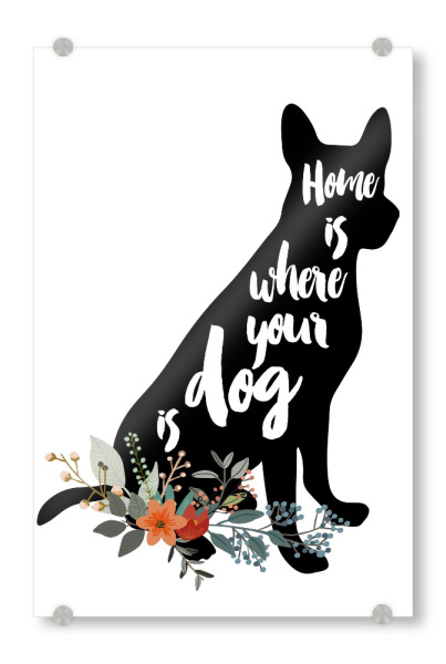 Acrylglasbild "Zuhause ist wo dein Hund ist 2" artboxONE - Typografie,Floral,Tiere