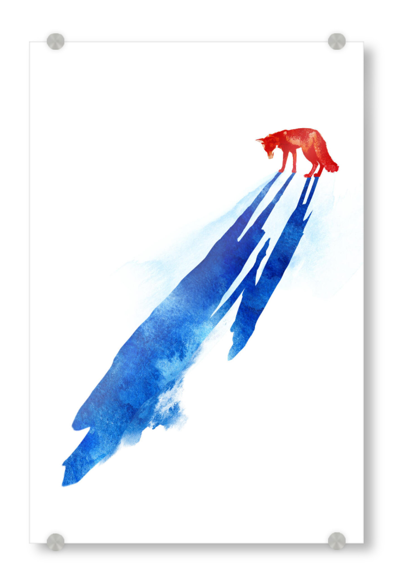Acrylglasbild "A distant memory" artboxONE - Natur - Fox,Forest,Nature,Animal