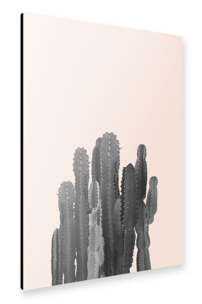 Alu-Dibond "Kakteen" 30x20 cm artboxONE