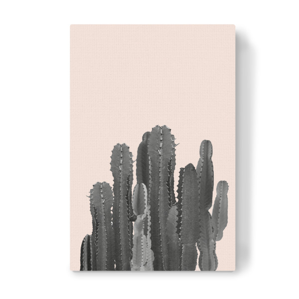 Leinwandbild "Kakteen" artboxONE - Natur,Reise,Floral - Kaktus