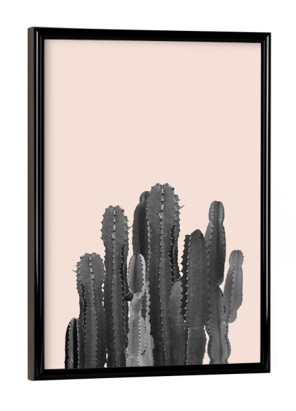 Poster mit schwarzem Rahmen "Kakteen" artboxONE - Natur,Reise,Floral - Kaktus