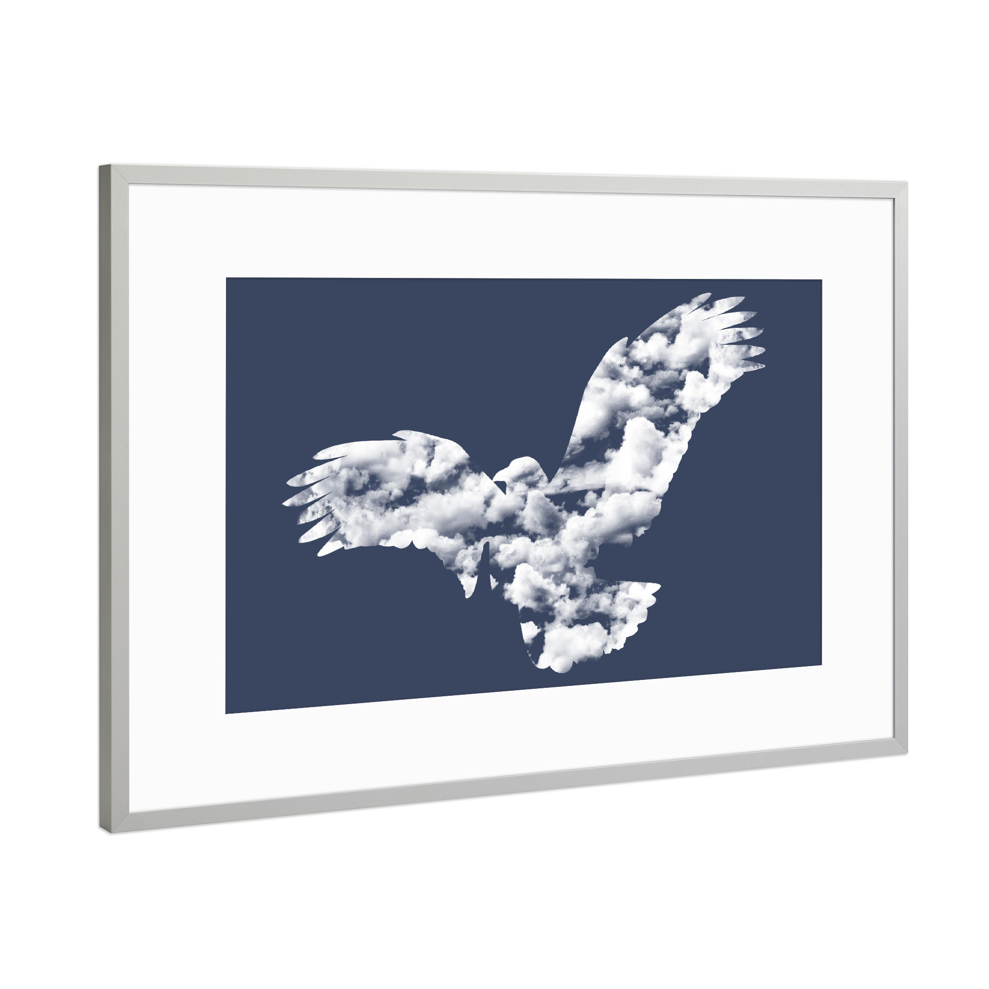 Poster mit Rahmen Silber "I Wanna Be Free" artboxONE - Tiere - Sky,Animals,Flying,Cute,Free,Freedom,Birds,Cool,Tobias fonseca,Tobe fonseca