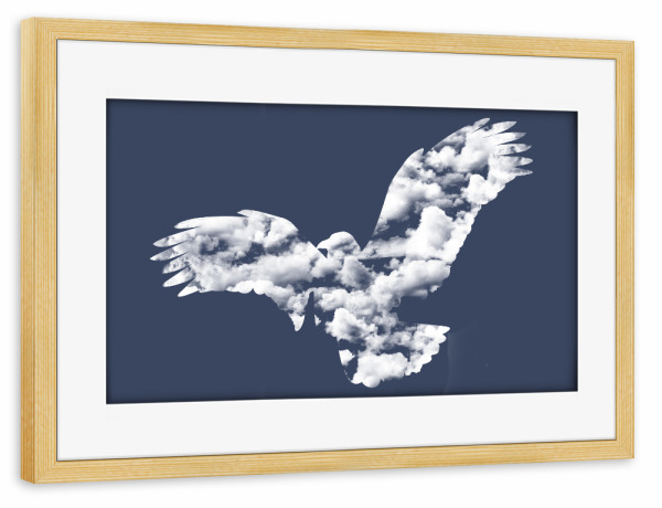 Poster mit Rahmen kiefer "I Wanna Be Free" artboxONE - Tiere - Sky,Animals,Flying,Cute,Free,Freedom,Birds,Cool,Tobias fonseca,Tobe fonseca