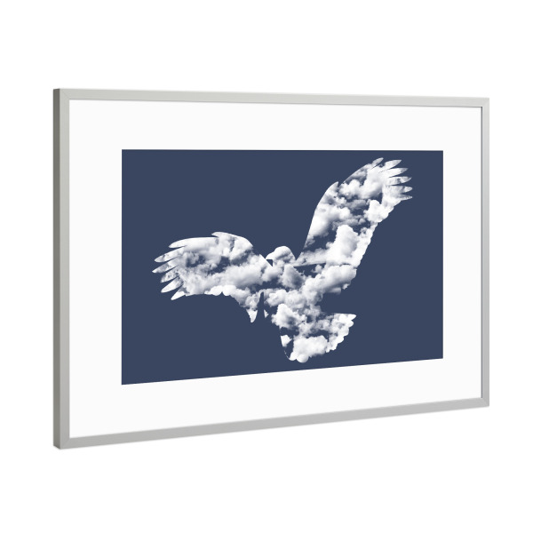 Poster mit Rahmen Silber "I Wanna Be Free" artboxONE - Tiere - Sky,Animals,Flying,Cute,Free,Freedom,Birds,Cool,Tobias fonseca,Tobe fonseca