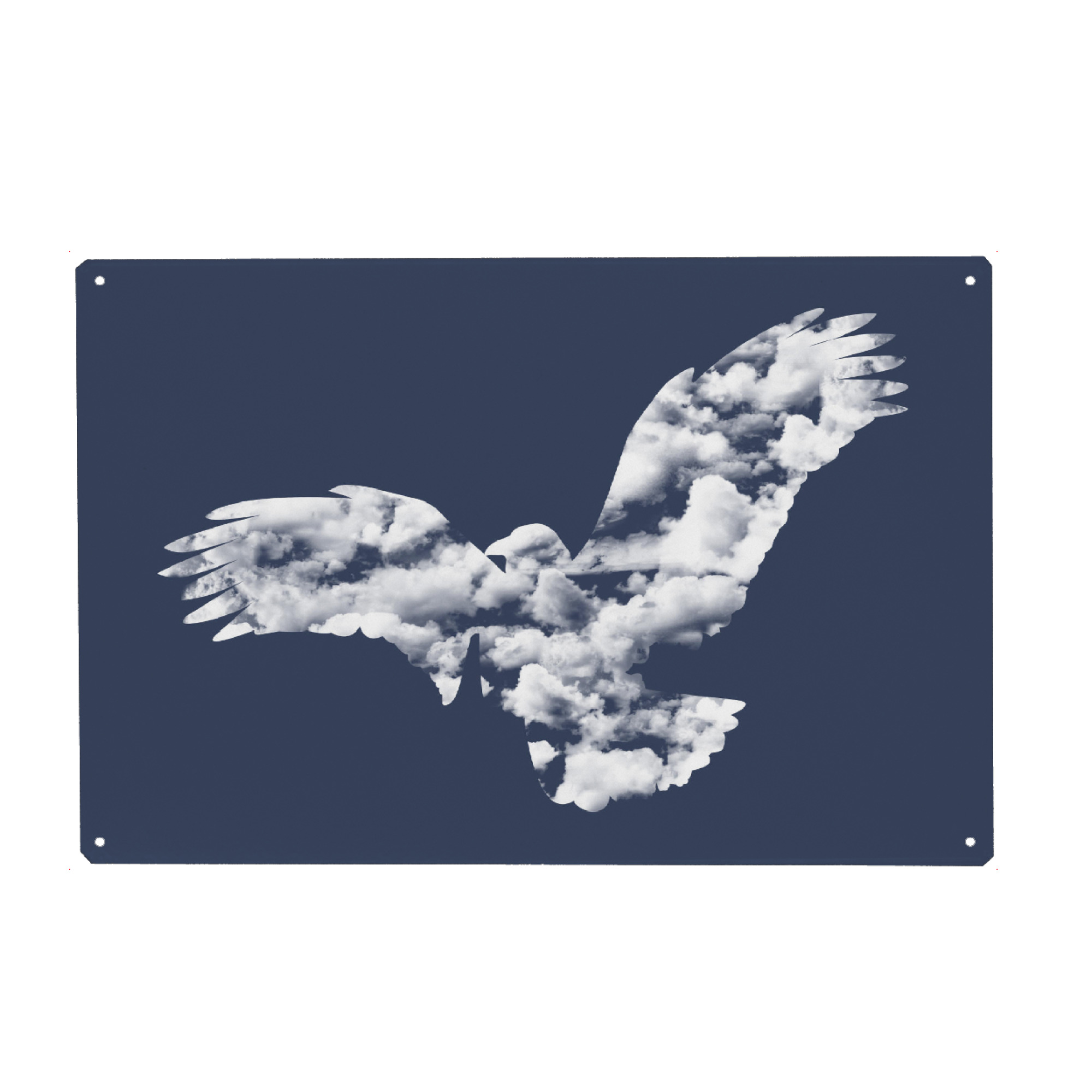 Metall Poster "I Wanna Be Free" artboxONE - Tiere - Sky,Animals,Flying,Cute,Free,Freedom,Birds,Cool,Tobias fonseca,Tobe fonseca - Blechschild