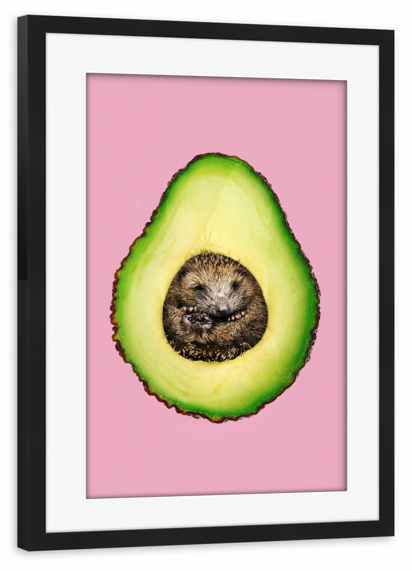 Poster mit Rahmen schwarz "Hedgehogcado" artboxONE - Natur,Für Kinder,Tiere,Essen & Trinken,Abstrakt,Liebe,Essen & Trinken / Obst & Gemüse