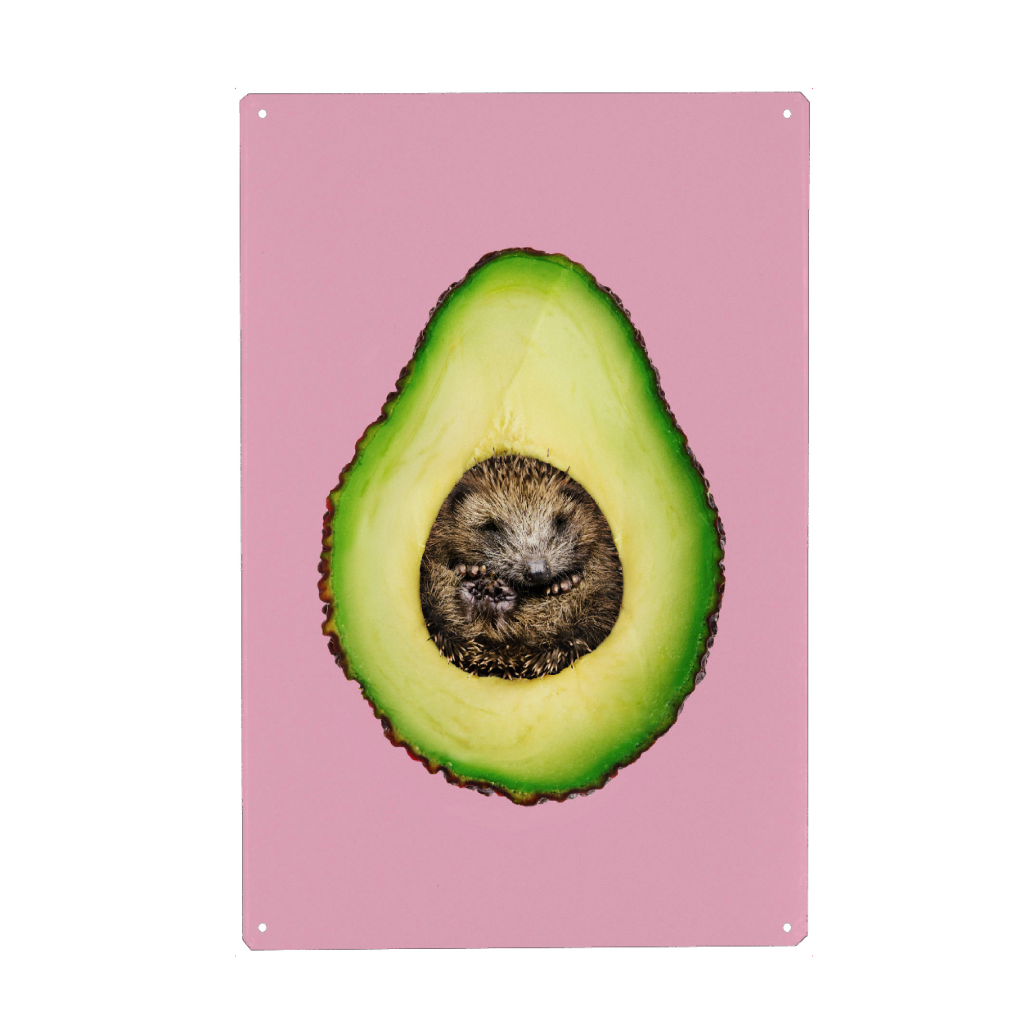 Holzbild "Hedgehogcado" artboxONE - Natur,Für Kinder,Tiere,Essen & Trinken,Abstrakt,Liebe,Essen & Trinken / Obst & Gemüse