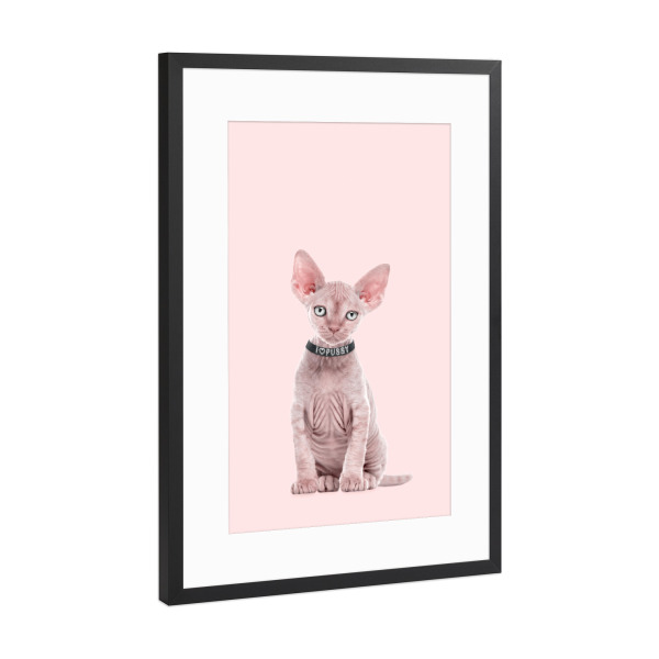 Poster mit Rahmen Schwarz (Metallic) "Pussy 2" artboxONE - Tiere,Abstrakt,Liebe,Fashion