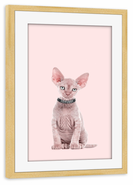 Poster mit Rahmen kiefer "Pussy 2" artboxONE - Tiere,Abstrakt,Liebe,Fashion
