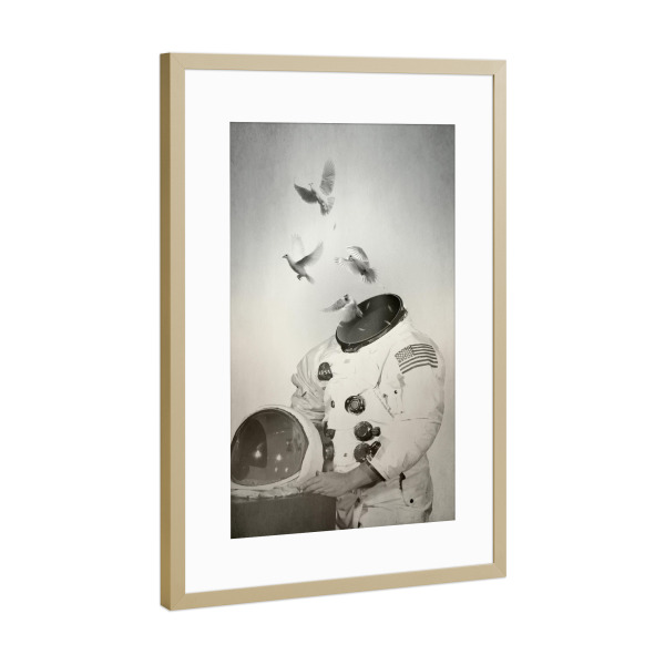 Poster mit Rahmen Gold "Doves" artboxONE - Abstrakt,Galaxy