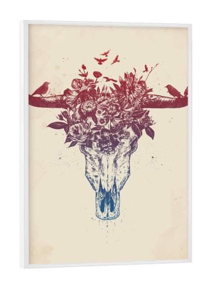 Poster mit weißem Rahmen "Dead summer" artboxONE - Natur,Tiere - Bull,Skull,Floral,Flowers,Nature,Drawing,Ink,Tattoo,Summer,Spring