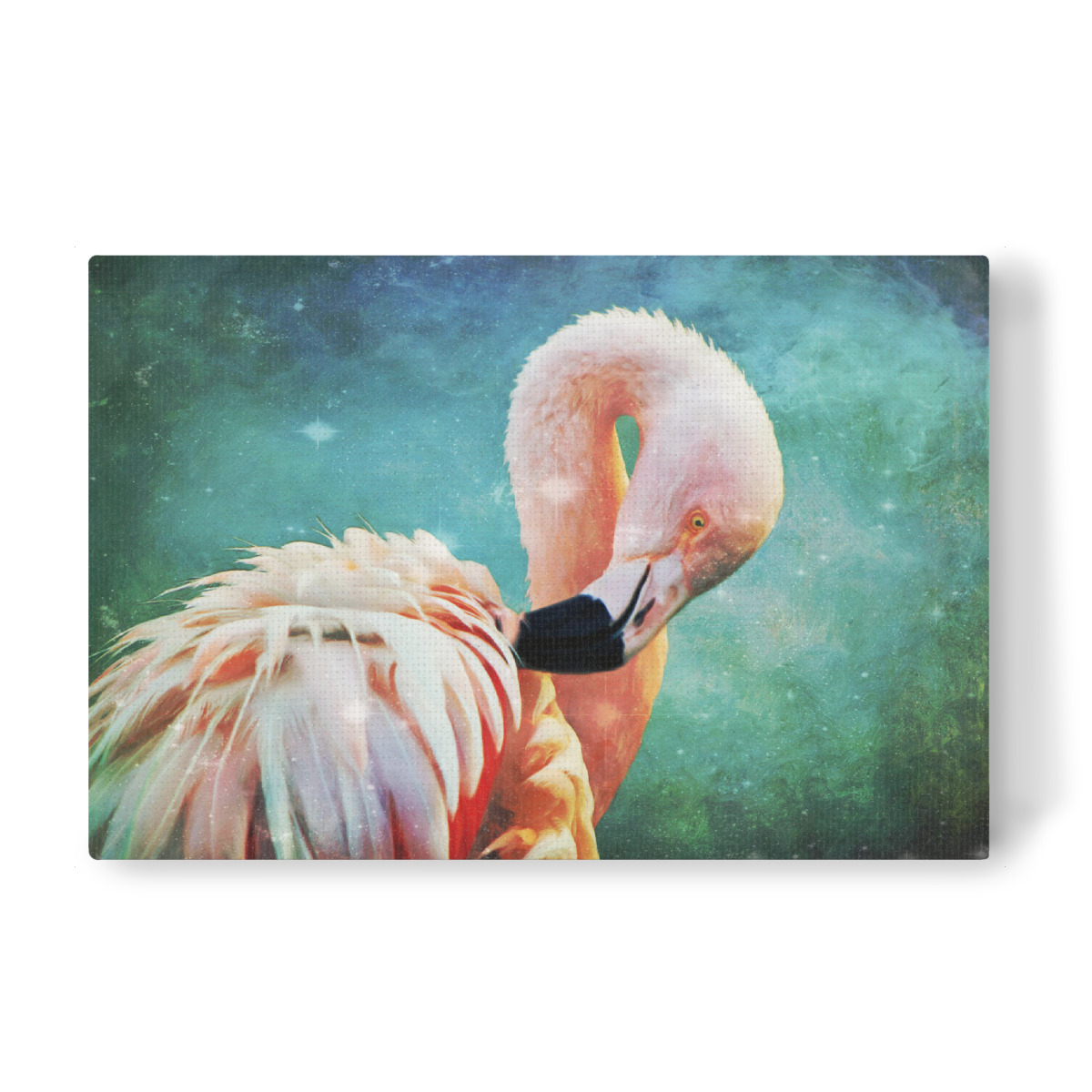 Flamingo Portrait Als Leinwand Bei Artboxone Kaufen