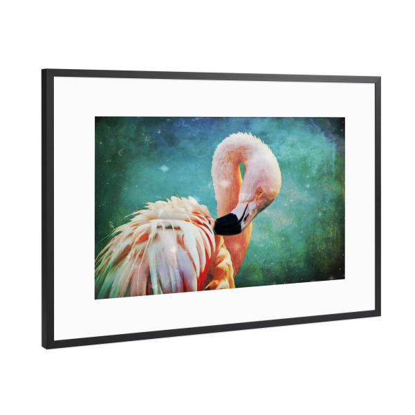 Poster mit Rahmen Schwarz (Metallic) "Flamingo Portrait" artboxONE - Für Kinder,Tiere,Für Mama