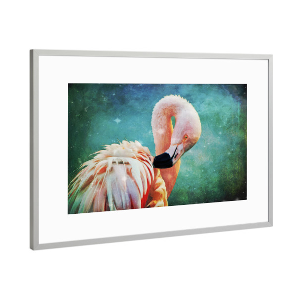 Poster mit Rahmen Silber "Flamingo Portrait" artboxONE - Für Kinder,Tiere,Für Mama