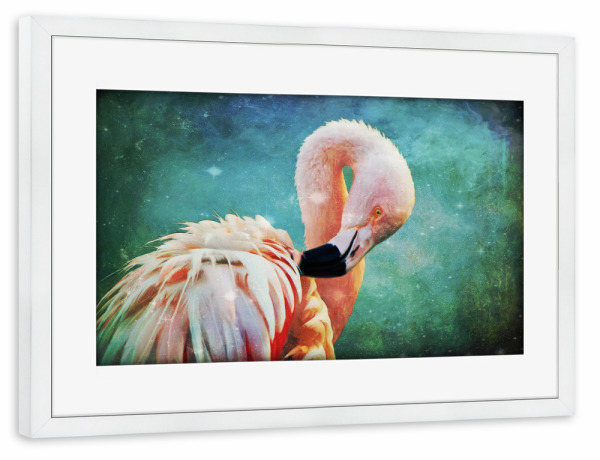 Poster mit Rahmen weiß "Flamingo Portrait" artboxONE - Für Kinder,Tiere,Für Mama