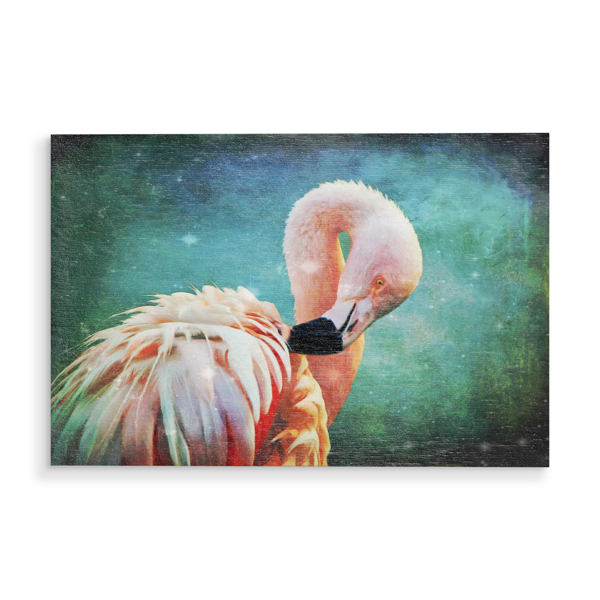 Holzbild "Flamingo Portrait" artboxONE - Für Kinder,Tiere,Für Mama