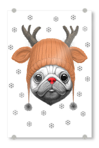 Acrylglasbild "Rudolph pug" artboxONE - Natur,Tiere,Schwarzweiß,Weihnachten,Lustig - Pug,Hund,Tier,Winter,Schnee,Weihnachten,Weihnachten