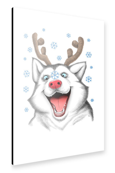 Alu-Dibond "Husky Rudolph" 30x20 cm artboxONE
