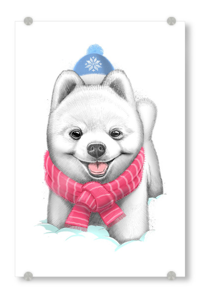 Acrylglasbild "Spitz dog" artboxONE - Natur,Tiere,Schwarzweiß,Weihnachten,Lustig - Hund,Spitz,Welpe,Tier,Winter,Xmas,Weihnachten