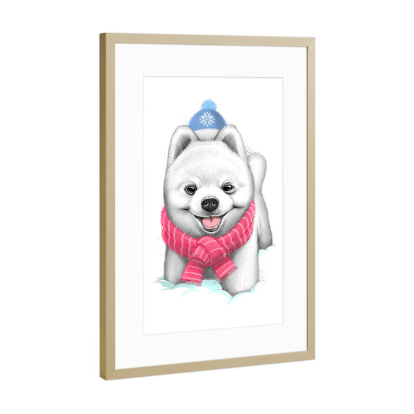 Poster mit Rahmen Gold "Spitz dog" artboxONE - Natur,Tiere,Schwarzweiß,Weihnachten,Lustig - Hund,Spitz,Welpe,Tier,Winter,Xmas,Weihnachten