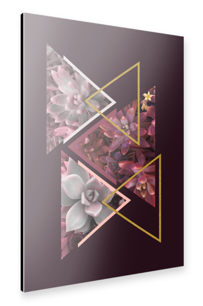 Alu-Dibond "Wine Succulents" 30x20 cm artboxONE