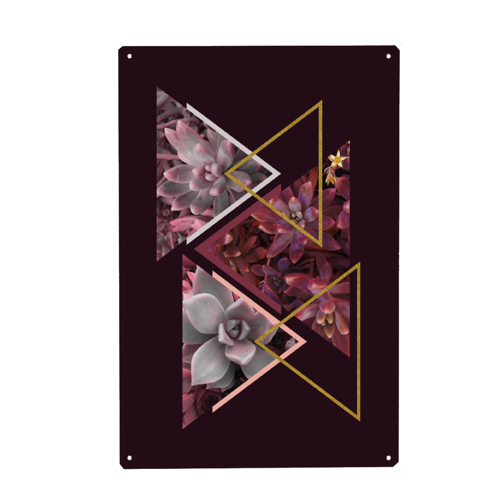 Metall Poster "Wine Succulents" artboxONE - Natur,Floral,Abstrakt,Geometrie