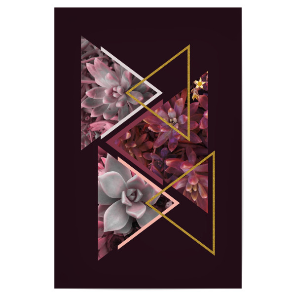 Poster "Wine Succulents" artboxONE - Natur,Floral,Abstrakt,Geometrie