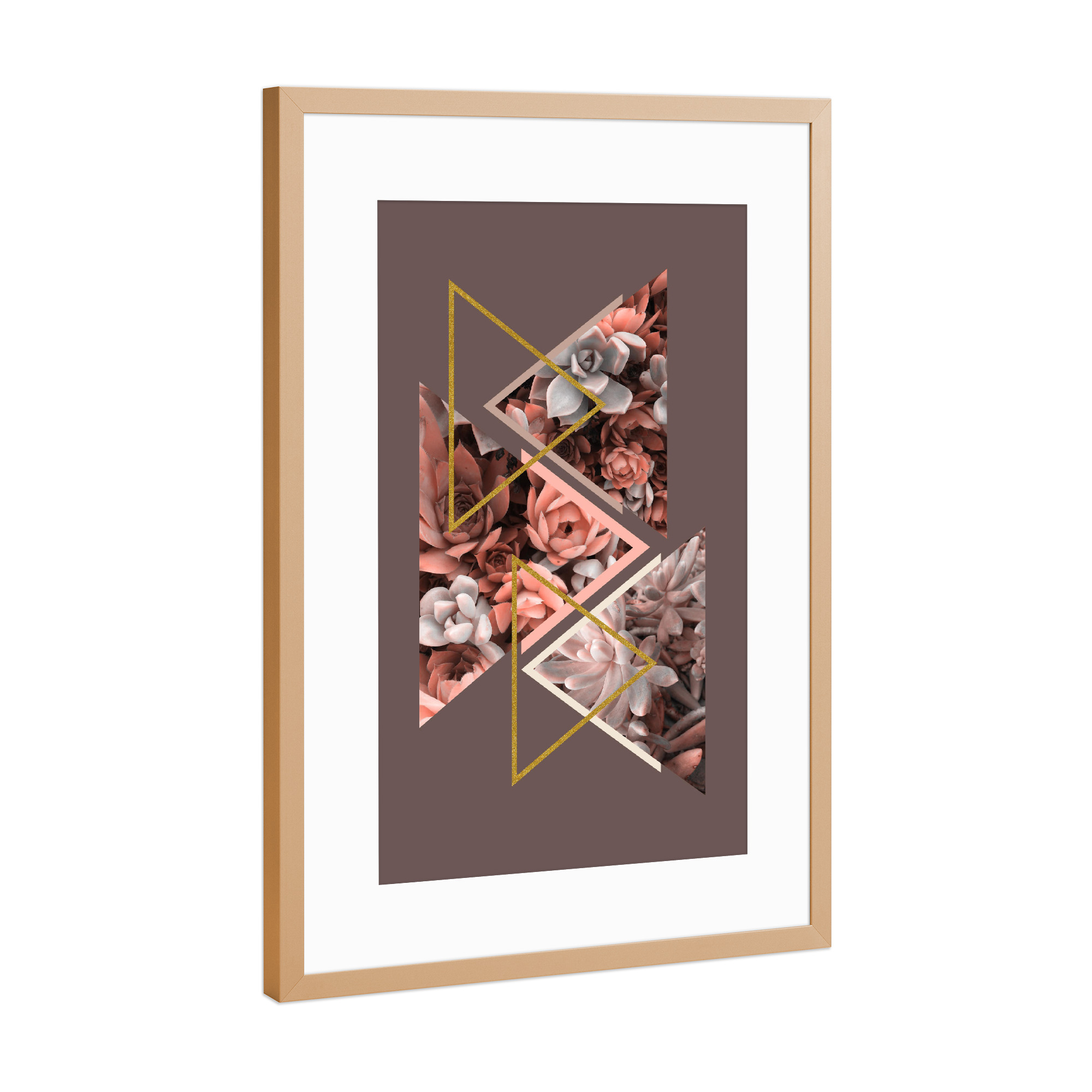 Poster mit Rahmen Kupfer "Elegant Succulents" artboxONE - Natur,Floral,Abstrakt,Geometrie