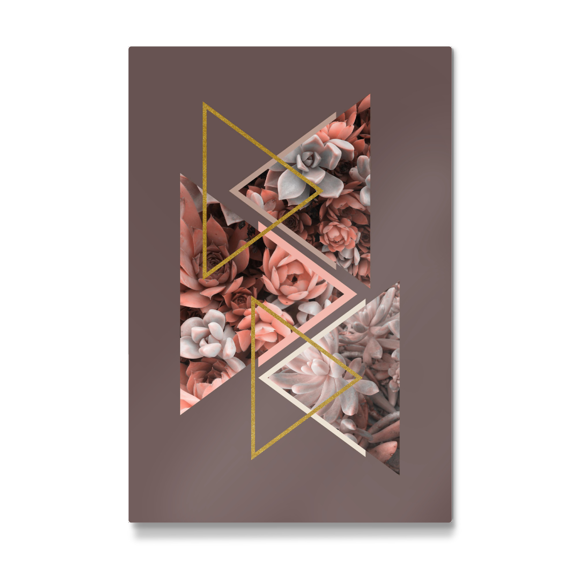 Galerie-Print "Elegant Succulents" 75x50 cm artboxONE