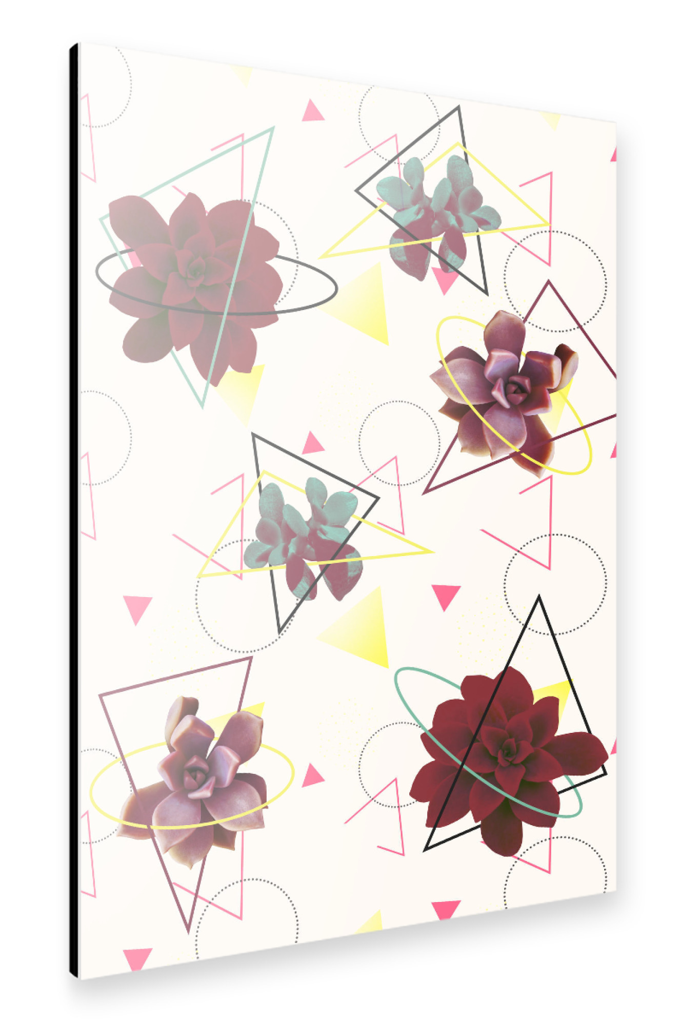 Alu-Dibond "Spatial Succulents" 75x50 cm artboxONE