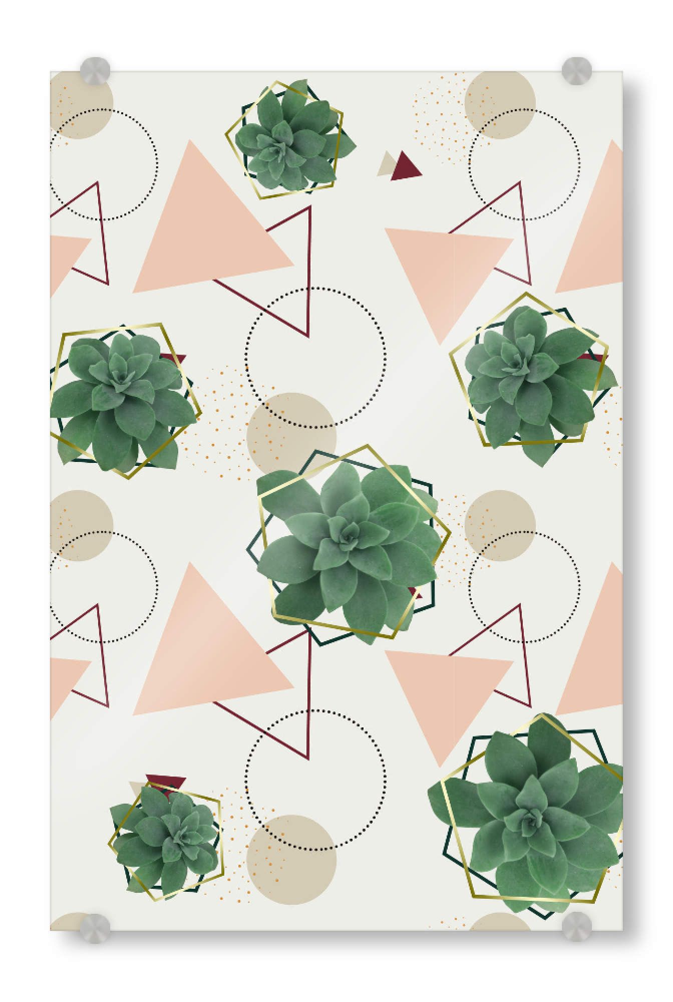 Acrylglasbild "Lovely Succulents" artboxONE - Natur,Abstrakt,Geometrie