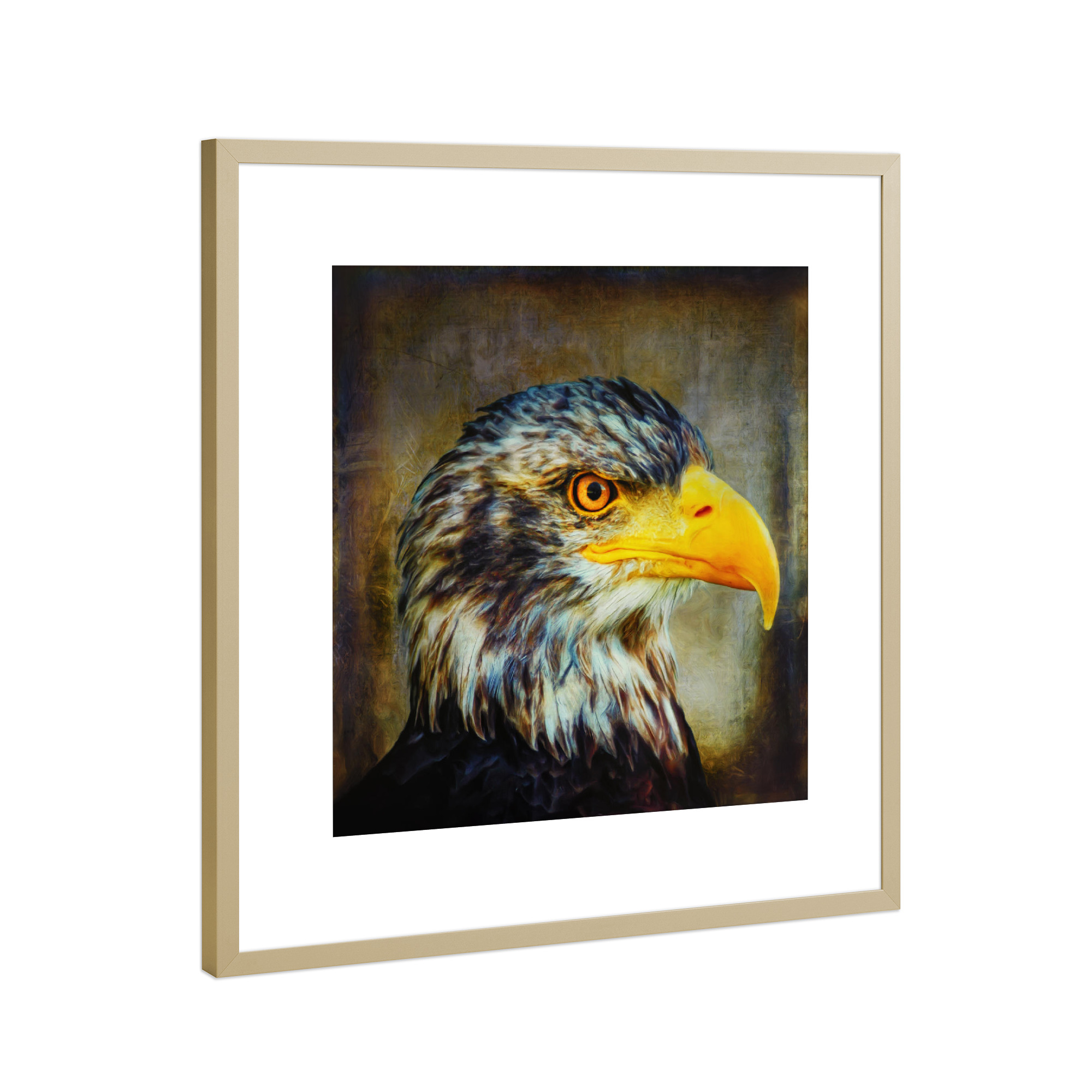 Poster mit Rahmen Gold "The Eagle" artboxONE - Tiere - Adler,Digitale malerei,Raubvogel,Tier,Tierportrait,Vintage,Vogel,Vogelportrait,Großer vogel