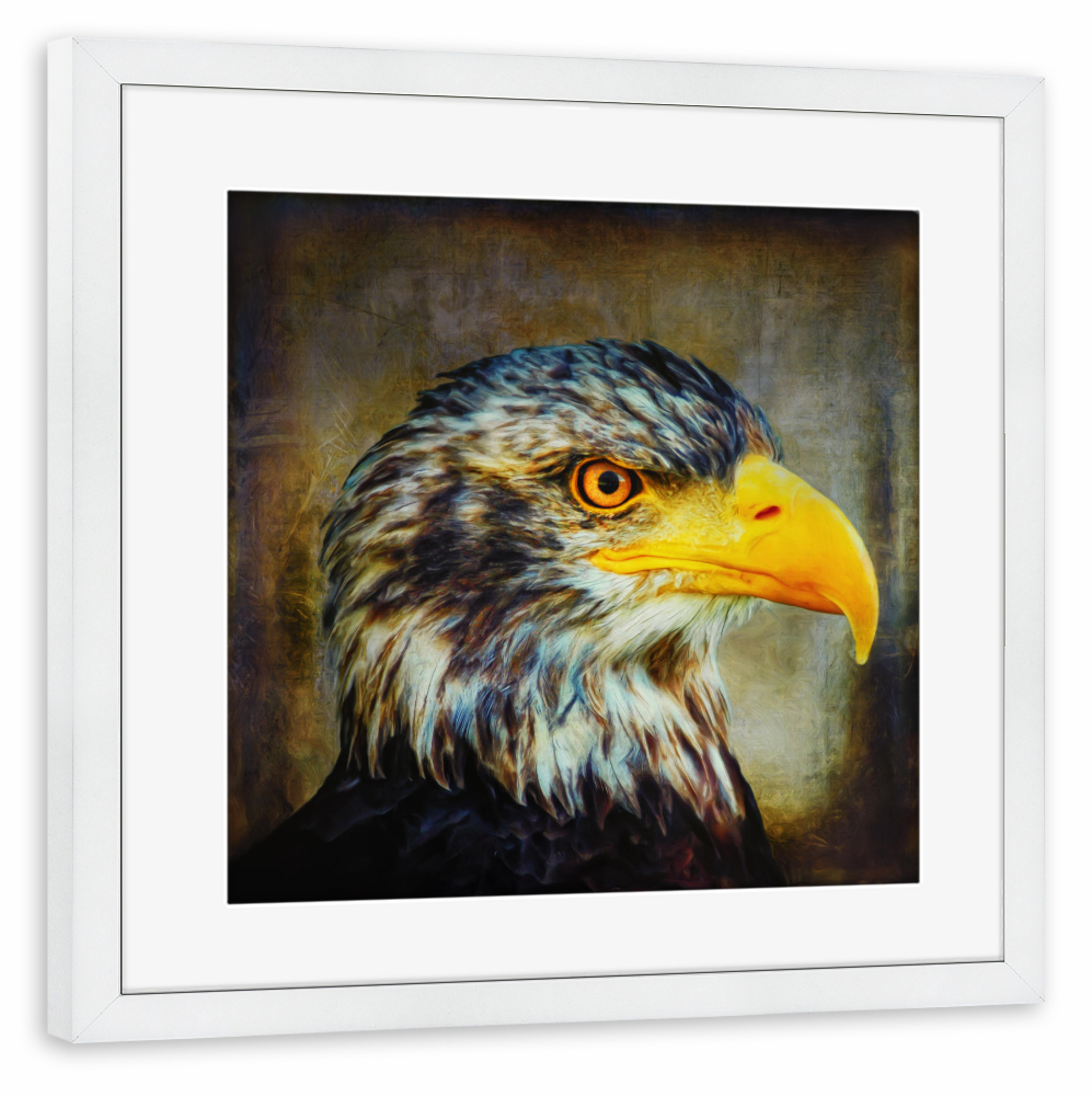 Poster mit Rahmen weiß "The Eagle" artboxONE - Tiere - Adler,Digitale malerei,Raubvogel,Tier,Tierportrait,Vintage,Vogel,Vogelportrait,Großer vogel