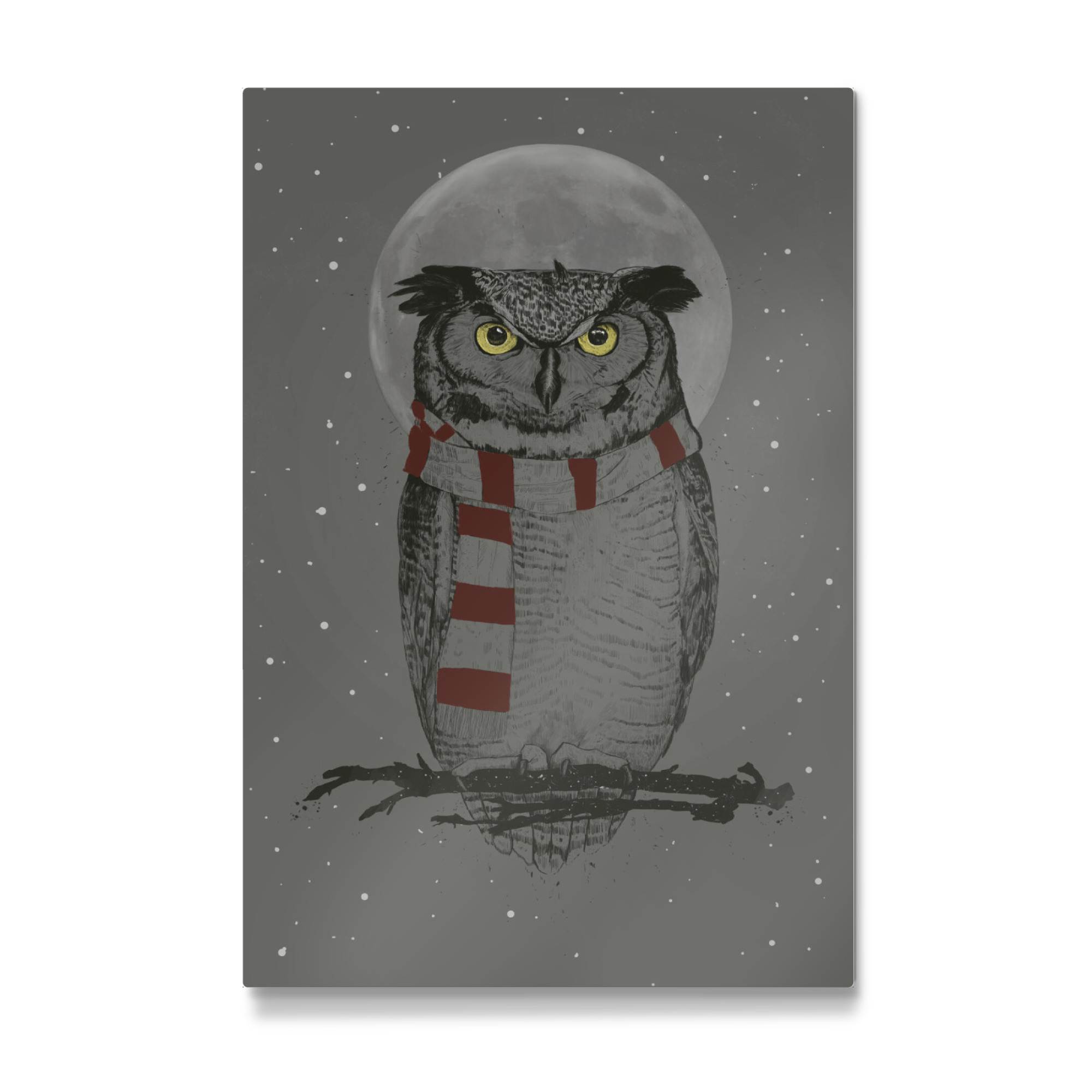Galerie-Print "Winter owl" 75x50 cm artboxONE