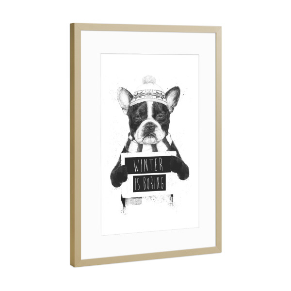 Poster mit Rahmen Gold "Winter is boring" artboxONE - Tiere,Schwarzweiß,Weihnachten,Lustig