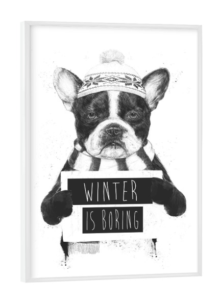 Poster mit weißem Rahmen "Winter is boring" artboxONE - Tiere,Schwarzweiß,Weihnachten,Lustig