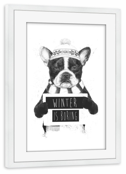 Poster mit Rahmen weiß "Winter is boring" artboxONE - Tiere,Schwarzweiß,Weihnachten,Lustig