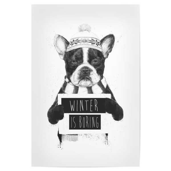 Poster "Winter is boring" artboxONE - Tiere,Schwarzweiß,Weihnachten,Lustig