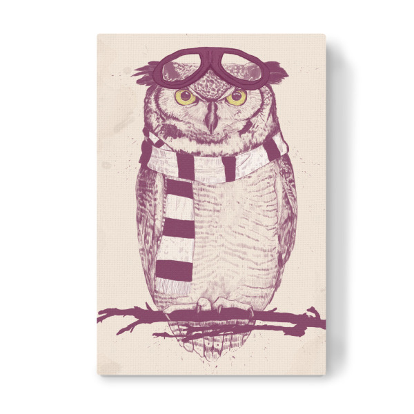 Leinwandbild "The aviator" artboxONE - Tiere,Schwarzweiß,Für Papa,Männer,Lustig