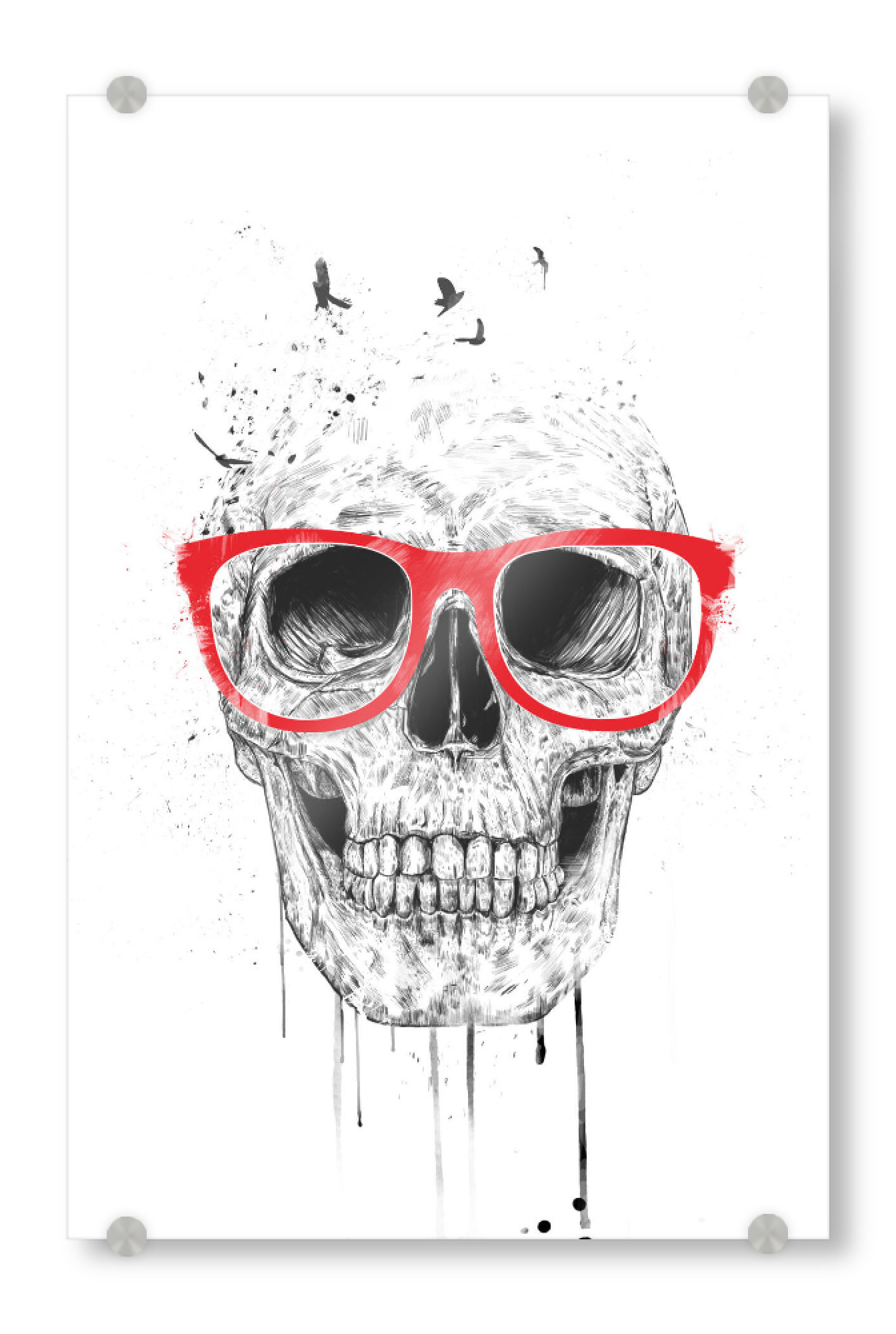 Acrylglasbild "Skull with read glasses" artboxONE - Schwarzweiß,Männer,Halloween - Glasses,Red,Skull,Rock and roll,Death,Hipster,Nerd,Geek,Science
