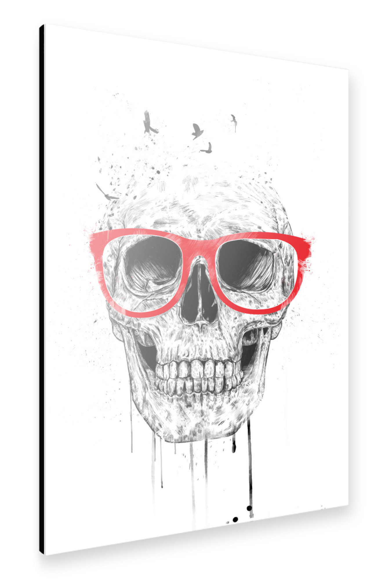 Alu-Dibond "Skull with read glasses" 75x50 cm artboxONE