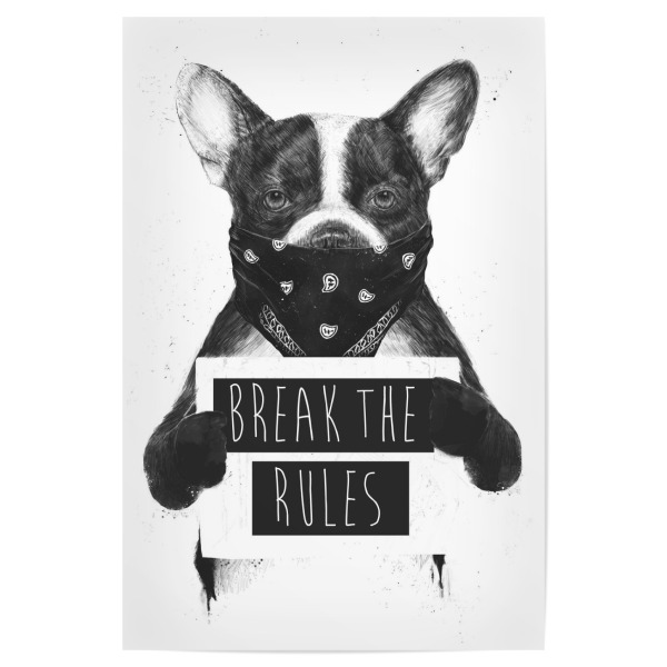 Poster 30x20 cm "Break the rules" artboxONE - Tiere,Schwarzweiß,Männer,Lustig