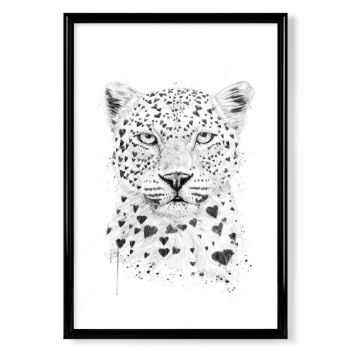 Lovely Leopard