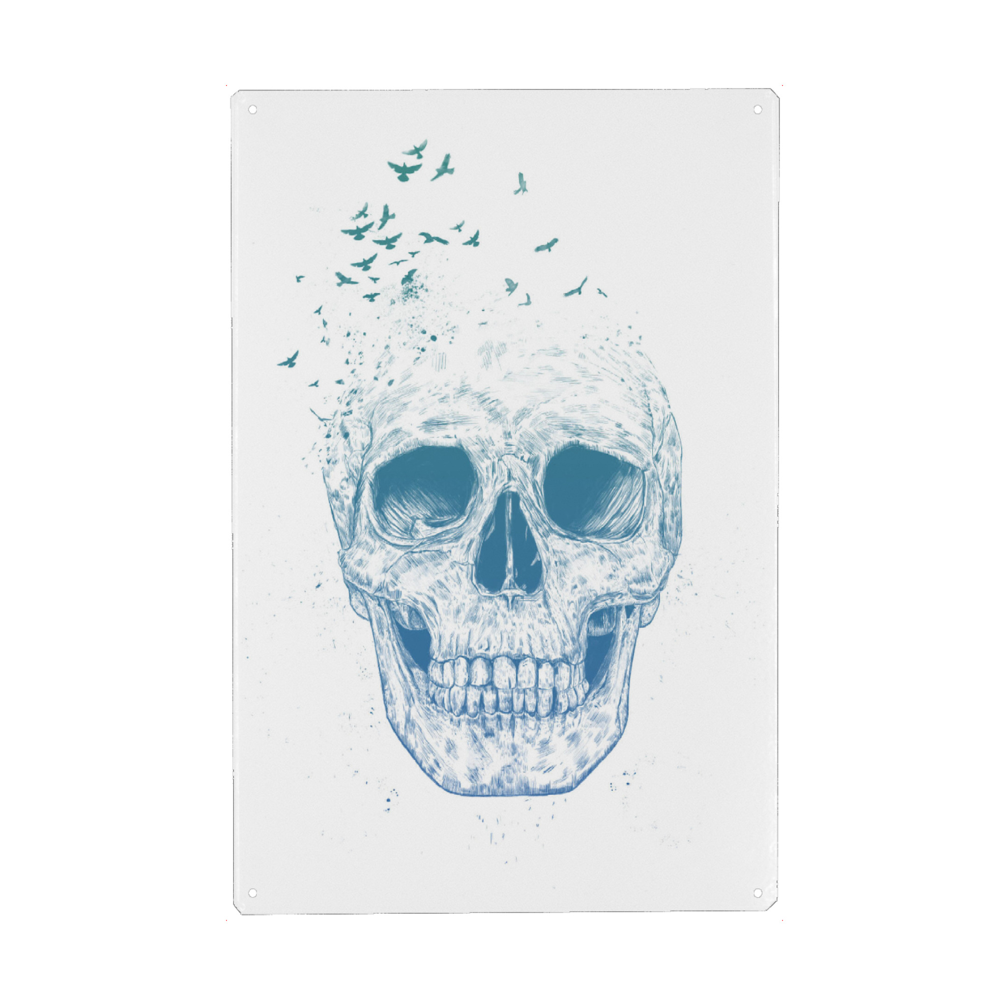 Metall Poster "Let them fly" artboxONE - Tiere,Schwarzweiß,Männer - Totenkopf,Skull,Vögel,Birds,Fly,Fliegen,Bone,Life - Blechschild